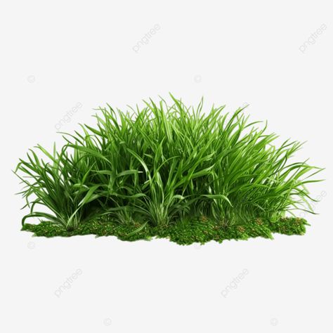 bunch of nature green grass bunch of nature green grass nature green grass green grass png Green Grass Png, Grass Photoshop, Map Elements, Grass Png, Winter Overlays, Free Green Screen Backgrounds, Grass Design, Drukarka 3d, Grass Background