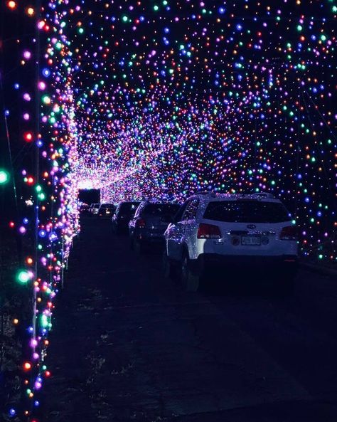 Christmas Lights Drive Through, Christmas Light Drive Thru, Christmas Light Drive, Holiday Contest, Holiday Lights Display, Stadium Lighting, Gillette Stadium, Drive Thru, Christmas Break