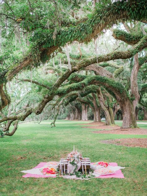 Girls' Picnic Bridal Shower Ideas Beach, Shower Outdoor, Summer Bridal Showers, Bridal Shower Inspiration, Pre Wedding Party, Bridal Shower Centerpieces, Unique Bridal Shower, Beach Side, Colorful Bouquet