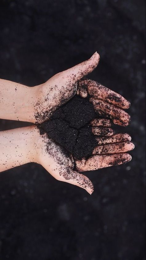 Agriculture Photography, Elemento Terra, Heart Pictures, Branding Photoshoot, Black Sand, Download Free Images, Green Aesthetic, Aesthetic Photography, Farm Life