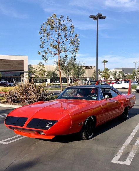 Dodge Daytona 1969, Plymouth Daytona, Rad Racer, Plymouth Muscle Cars, Plymouth Superbird, Dodge Daytona, Dodge Charger Daytona, Dream Car Garage, Hot Rods Cars Muscle