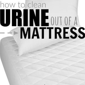 Learn how to get pee out of mattress with just two items. Eliminate the the odor and the stain with something you already have in your pantry! Find out how to get urine out of mattress. How to clean pee from mattress. How to get pee smell out of mattress. How to clean pee out of a mattress. Urine Out Of Mattress, Pee Out Of Mattress, Clean Mattress, Homemade Toilet Cleaner, Clean Baking Pans, Clean Mama, Cleaning Painted Walls, Glass Cooktop, Mattress Cleaning