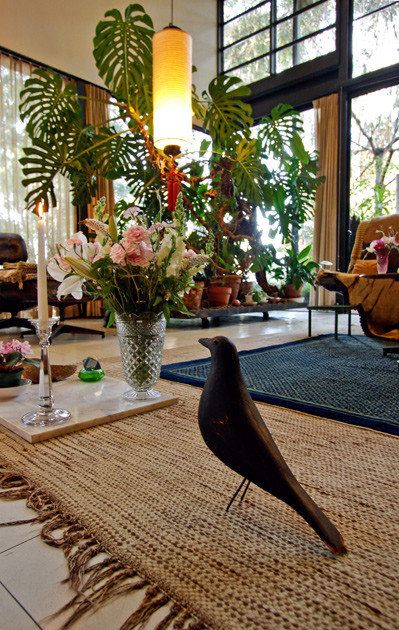 The Eames House Eames Bird, Eames House Bird, French Style Bedroom, Eames House, Case Study Houses, Fairy Lights Bedroom, Master Decor, Indoor Gardens, Green Home Decor