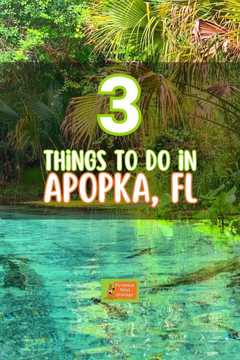 Looking for things to do in Apopka, FL? Here are 3 fun things to do this summer! Apopka Florida Things To Do, Apopka Florida, Florida Attractions, Florida Panhandle, Storage Tips, Mini Storage, Dream Travel Destinations, Florida Usa, Florida Travel