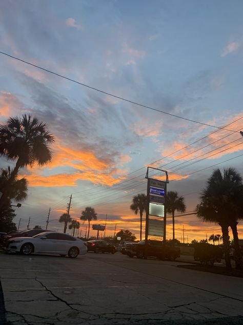 Pensacola Florida Aesthetic, Navarre Florida, Blue Palm Tree, Florida Aesthetic, Sunset Pretty, Tree Palm, Beach Sunset Wallpaper, Tree Sunset, Palm Tree Sunset