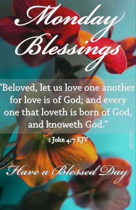 Monday Blessings Gif, Monday Bible Verse, Monday Good Morning Quotes, Blessings Gif, Monday Good Morning, Happy Sabbath Images, Happy Monday Quotes, Monday Morning Quotes, Monday Blessings