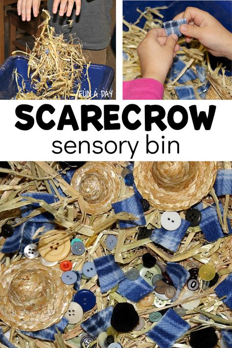 Scarecrow Sensory Bin, Preschool Scarecrow, Sensory Bin For Preschoolers, Prek Sensory, Farm Sensory Bin, Fall Sensory Bin, Fall Lesson Plans, Farm Preschool, Fall Preschool Activities