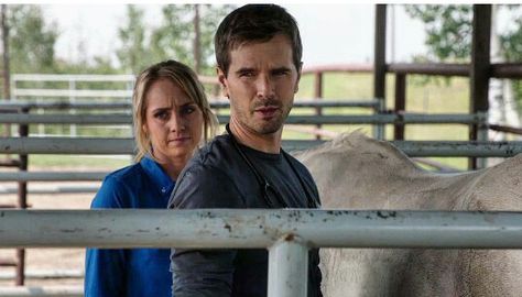 Heartland Season 9 #iloveheartland Heartland Season 9, Heartland Cbc, Heartland Quotes, Ty Borden, Amy And Ty Heartland, Ty Heartland, Heartland Seasons, Heartland Tv Show, Ty And Amy