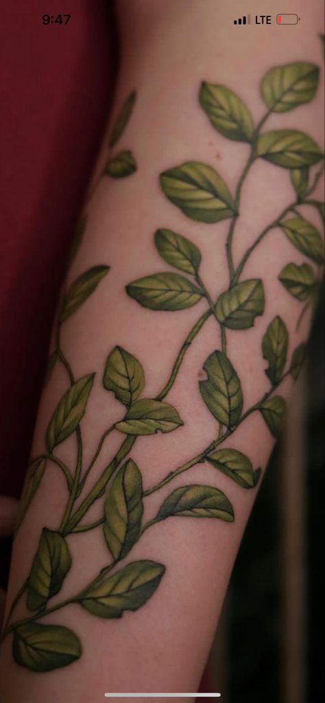 Green Sleeve Tattoo, Botanical Stomach Tattoo, Leaves Tattoo Color, Green Plant Tattoo, Green Vine Tattoo, Green Leaves Tattoo, Dark Green Tattoo, Pathos Tattoo, Leaf Back Tattoo