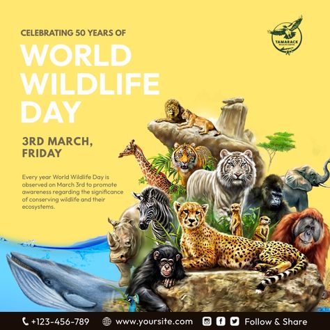 World Animal Day Poster, Animal Day Poster, World Wildlife Day, World Animal Day, Elsa Art, Animal Day, Wildlife Day, Disney Frozen Elsa Art, Graphic Design Packaging