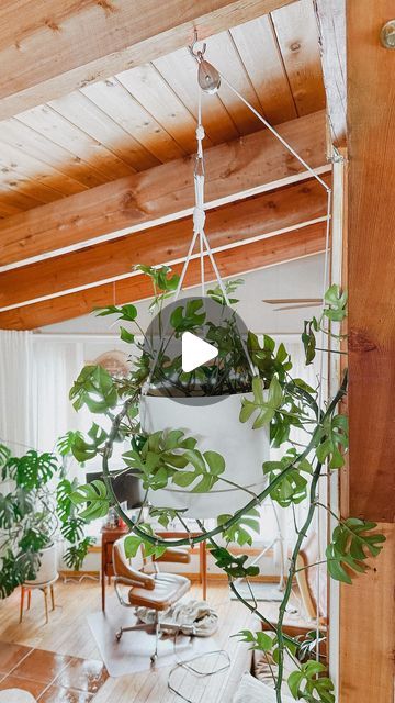 Pulley Plant Hanger Diy, Plant Pulley System Diy, Pulley System For Plants, Hanging Plant Pulley System, Pully System Ideas, Plant Pulley System, Plant Pulley, Pully System, Plant Mama