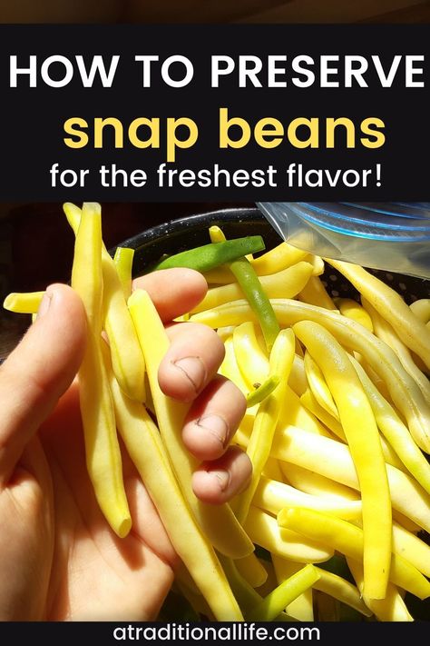 Learn how to put up green beans by freezing them! How To Freeze Yellow Beans, Yellow Beans, Parmesan Potato Recipe, Parmesan Potato, Snap Beans, Freeze Greens, Parmesan Potatoes, String Bean, Frozen Green Beans