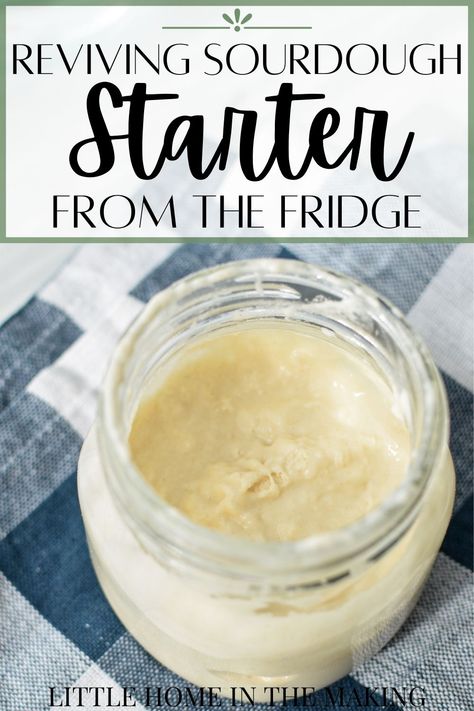 If you store your sourdough starter in the fridge, you may be wondering what to do if you have left it for too long between feedings. You CAN revive your sourdough starter from the fridge, even if you think all hope is lost! Follow this sourdough maintenance plan and the tips and tricks for giving your sluggish sourdough starter a boost. Sourdough Maintenance, Sourdough Desserts, Best Sourdough Starter Recipe, Dough Starter Recipe, Make Sourdough Starter, Sourdough Starter From Scratch, Recipe Using Sourdough Starter, Sourdough Bread Starter, Dough Starter