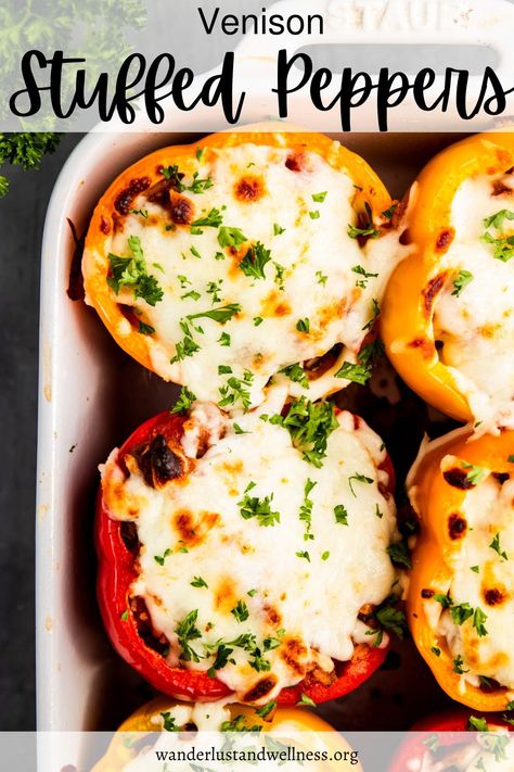 Healthy Dinner Recipes With Deer Meat, Elk Stuffed Peppers, Recipes Ground Venison, Easy Venison Dinner Recipes, Venison Stuffed Bell Peppers, Ground Venison Dinner Ideas, Ground Venison And Pork Recipes, Ground Venison Dinner Recipes, Venison Ground Recipes