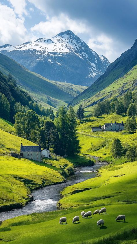 Scotland, Sheep grazing on a green grassland, houses and trees scattered on the slopes, snow capped peaks visible in the distance, a river flowing through a valley, blue sky and white clouds, bright colors of green, yellow, and blue, photographic works, Very high resolution, best quality. Sheep Grazing, River Flowing, Unique House Design, Unique Houses, Snow Mountain, White Clouds, Yellow And Blue, Amazing Places, Art Activities