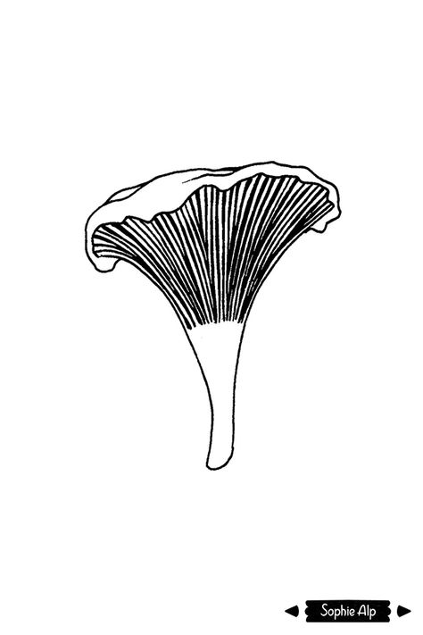 Mushroom Gills Drawing, Chanterelle Embroidery, Chanterelle Mushroom Tattoo, Chanterelle Drawing, Chanterelle Tattoo, Simple Mushroom Drawing, Mushroom Line Drawing, Mushroom Line Art, Mushroom Types