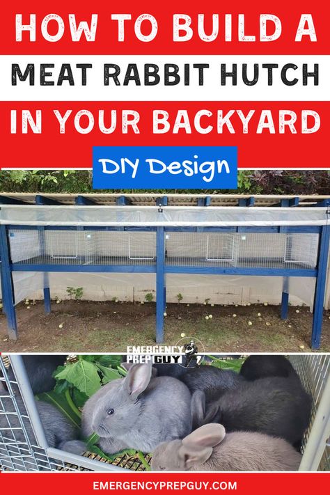 This image features a well-constructed blue and white rabbit hutch in a backyard setting, with one section showing rabbits feeding, illustrating how to build a meat rabbit hutch. Bunny Hutch Diy Outdoor, Meat Rabbits Housing, Diy Rabbit House, Diy Rabbit Hutch Outdoor, Rabbit Hutch Outdoor, Rabbit Farming, Rabbit Hutch Plans, Raising Rabbits For Meat, Diy Rabbit Hutch