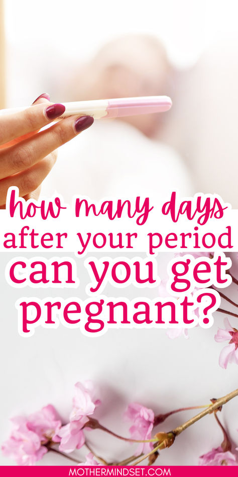 Curious about the perfect timing for conception? 🤔 Explore the ins and outs of fertility with insights on how many days after your period you can get pregnant. From early pregnancy signs to maintaining pregnancy health, we've got you covered. Dive into the world of when to get pregnant, understanding your body's rhythms, and tips for a healthy pregnancy journey. Get ready for the exciting adventure of getting pregnant with confidence! #PregnancyTiming #ConceptionTips #HealthyPregnancy Tips For Getting Pregnant Fast, How To Get Pregnant Faster, How To Get Pregnancy Fast, When To Get Pregnant, Tips For Getting Pregnant, Conception Tips, Fertility Day, Fertile Period, Getting Pregnant Tips