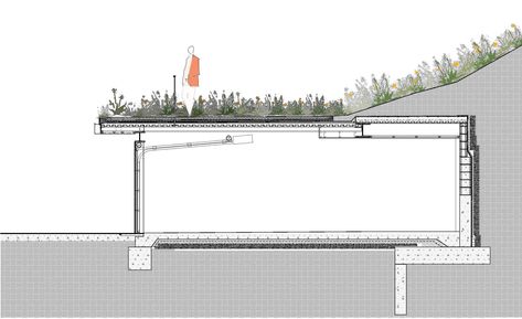 garagesection3 copy_INV Green Roof Drawing, Green Roof Architecture, Green Roof Detail, Green Roof Design Architecture, Grass Roof Architecture, Green Roof Construction Detail, Architecture Green Roof, Green Roof Detail Section, Green Roof Design