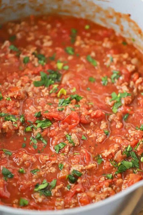 This homemade Meat Sauce is rich, meaty, juicy and beats anything you’ll get from a jar. It’s an easy one-pot recipe made from caramelized onions, garlic and two kinds of meat that are slowly simmered with crushed tomatoes and dried seasoning. #thecarefreekitchen #sauce #meatsauce #spaghetti #pasta #pastasauce #italian Best Spaghetti Sauce, Italian Meat Sauce, Homemade Meat Sauce, Homemade Sauce Recipes, Homemade Spaghetti Sauce, Tomato Pasta Sauce, Stewed Tomatoes, Easy Italian, Homemade Italian