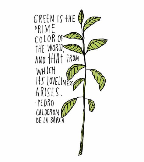 Garden Quotes Botany Quotes, Go Green Slogans, Family Quotes Bad, Green Therapy, Lettered Quotes, Growing Quotes, Boho Quotes, Gardening Quotes, Lisa Congdon