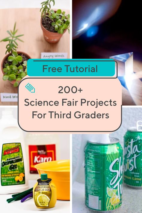 Get your third grader ready for the science fair with this great collection of activities! #thirdgrade #sciencefair #sciencefairproject #science #pintodaymaketomorrow #educationdotcom Engineering Science Fair Projects, 3rd Grade Science Fair Projects, Third Grade Science Experiments, Volcano Science Fair Project, Third Grade Science Lessons, Third Grade Science Projects, 3rd Grade Science Experiments, Third Grade Science Worksheets, Third Grade Science Activities