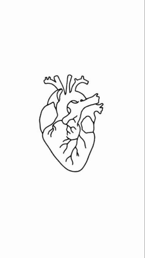 White Heart Tattoos, Human Heart Tattoo, Anatomical Heart Drawing, Realistic Heart Tattoo, Heart Outline Tattoo, Anatomical Heart Art, Hand Tattoos For Girls, Inkbox Tattoo, Heart Tattoo Designs