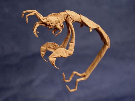 Skeleton Shrimp, designed and folded by Derek McGann (source: ) #origami #shrimp Origami Shrimp, Creative Origami, Paper Fish, Tattoo Reference, Origami Fish, Tropical Fish, Sea Creatures, Tissue Paper, Paper Art