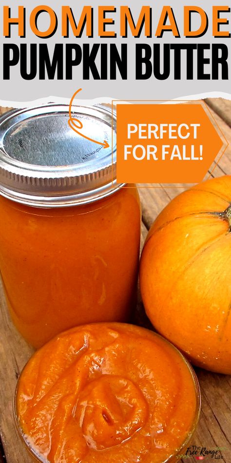 Do you love pumpkins and pumpkin spice? Try making your own spiced pumpkin butter. It's similar to apple butter but made with pureed pumpkin or squash. Great for a fall breakfast or snack! Can be frozen for longer storage. Apple Peel Recipe, Freezing Pumpkin, Homemade Pumpkin Butter, Pumpkin Butter Recipe, Pureed Pumpkin, Pumpkin Crisp, Homestead Recipes, Pear Butter, Fresh Pumpkin