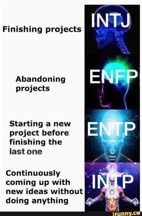 Intp Personality Funny, Funny Mbti Memes, Mbti Intp Meme, Personality Type Memes, Intp Memes Funny, Intp Funny, Mbti Pictures, Mbti Funny, Mbti Compatibility