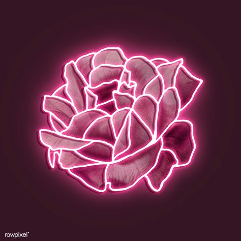 Neon pink rose mockup | premium image by rawpixel.com / Awirwreckkwrar Neon Asthetics, Pink Roses Aesthetic, Widgets Pink, Pink Neon Wallpaper, Neon Icons, Pink Artwork, Pink Neon Sign, Neon Rose, Zero Wallpaper