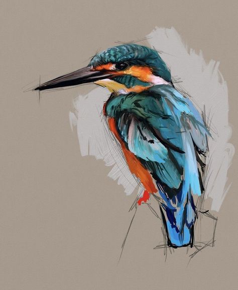 Kingfisher by Shelly Hanna Beginners Canvas Painting, Kingfisher Painting, Canvas Painting For Beginners, Bird Watercolor Paintings, Painting For Beginners, Bird Artwork, Ipad Art, Bird Drawings, Kingfisher