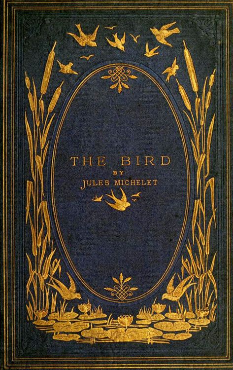 starrydiadems:The Bird by Jules Michelet (1869). Illustration Art Nouveau, Vintage Book Cover, Vintage Book Covers, 카드 디자인, Beautiful Book Covers, Old Book, Book Cover Art, Ex Libris, Old Books