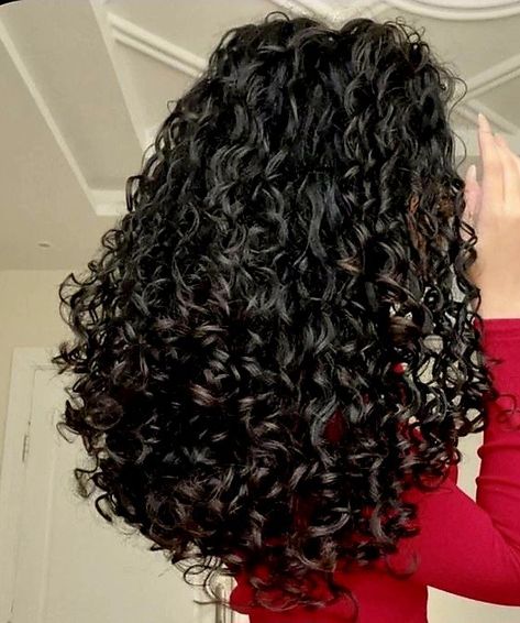 Curly Middle Eastern Hair, Healthy Curly Hair, Perfect Curly Hair, Long Natural Curly Hair, Beautiful Curly Hair, Hairdos For Curly Hair, Black Curly Hair, Haircuts For Medium Hair, Curly Hair Routine