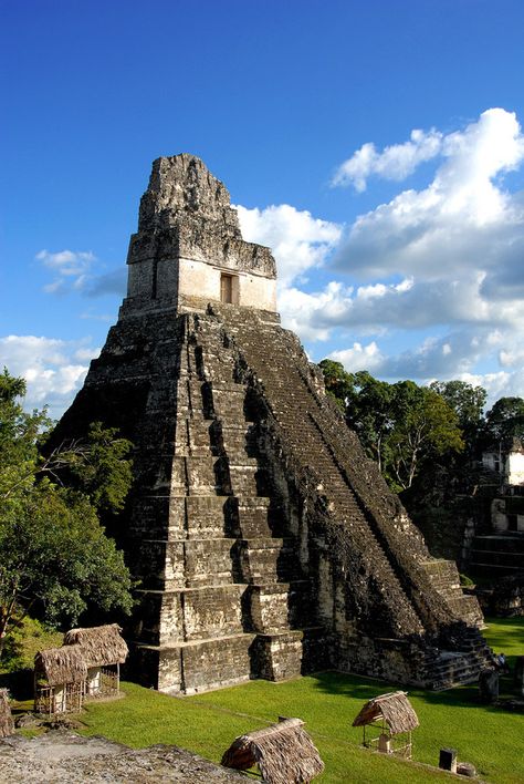 Templo V, Tikal (Guatemala) Inca Pyramid, Tikal Guatemala, Architecture Antique, Mayan Cities, Tikal, Mayan Ruins, Ancient Architecture, Ancient Ruins, Beautiful Places In The World