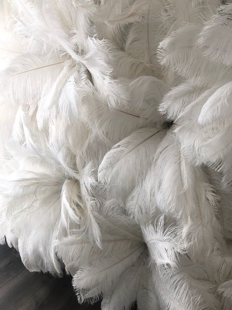 Our beautiful new giant feather backdrop perfect for weddings and events. Ostrich Feather Backdrop, White Feather Backdrop, How To Make A Feather Wall Backdrop, Feather Photo Backdrop, Feather Wall Backdrop, Glam Room Office, Lash Salon Ideas, Ostrich Feather Decor, Feather Backdrop