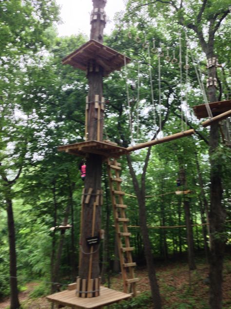 High Rope course High Ropes Course Aesthetic, High Ropes, Camp America, High Ropes Course, Ropes Course, Adventure Park, Tree Tops, Summer Bucket Lists, Summer Bucket