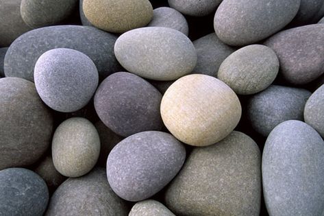 Round pebbles on beach Beach Pebbles, Pretty Rocks, Pebble Stone, River Stones, Beautiful Rocks, Sticks And Stones, Beach Stones, River Rock, Stone Rocks