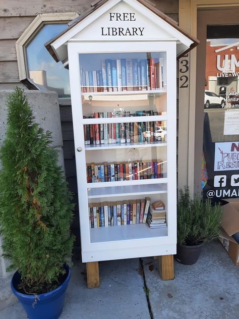 Street Library Ideas, Take A Book Leave A Book, Book Library Outdoor Diy, Little Library Plans Diy, Diy Little Library, Outdoor Book Library, Lending Library Ideas, Free Little Library Ideas, Outdoor Library