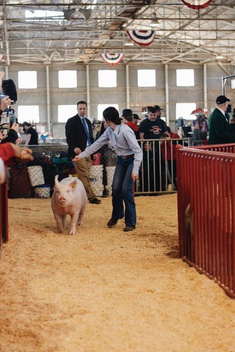 Showing Pigs 4-h, Show Pig Aesthetic, Pigs Pictures, Stock Show Outfits, Showing Pigs, Living Your Life Quotes, Livestock Quotes, Fort Worth Stock Show, Fair Week