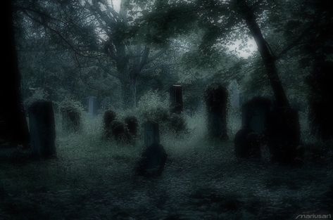 Grunge Graveyard Aesthetic, Green Graveyard Aesthetic, Horror Forest Background, Graveyard Aesthetic Green, Grave Digger Aesthetic, Coffins Aesthetic, Grave Yard Background, Dark Graveyard Aesthetic, Grave Yard Aesthetic