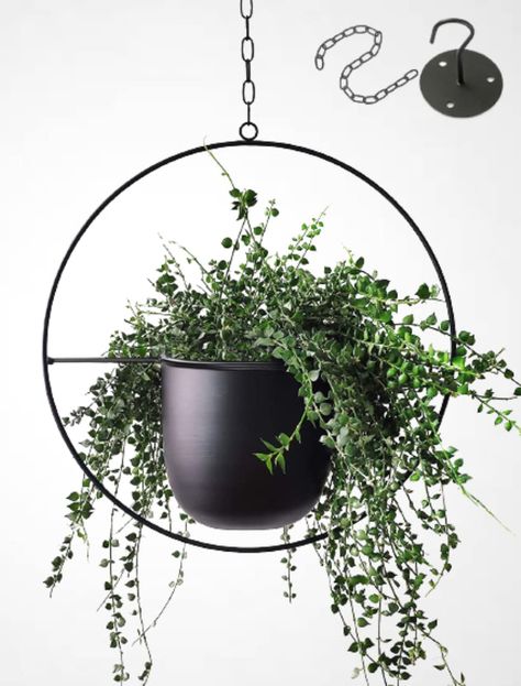 Hanging wall planters