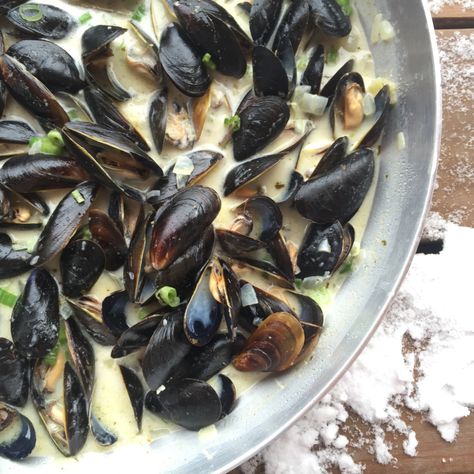 Muscles Recipe White Wine, Oatmeal Soup Recipe, Curry Mussels Recipe, Coconut Curry Mussels, Curry Mussels, Fraiche Living, Watermelon Nutrition Facts, Steamed Mussels, Mussels Recipe