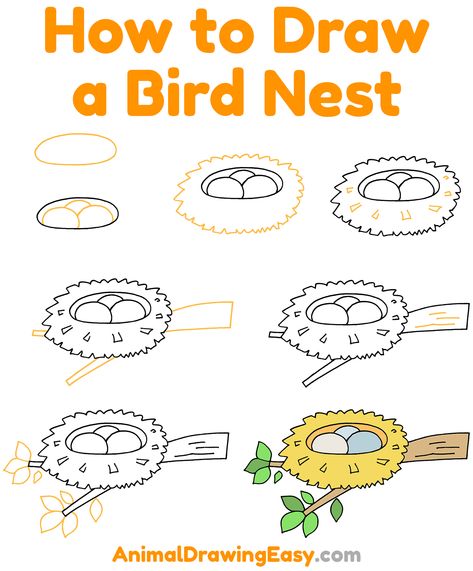 How to Draw a Bird Nest Step by Step #BirdNest #BirdNestDrawing #StepbyStepBirdNestDrawing #HowtoDrawaBirdNest #EasterDrawing #EasterNest #Easter #HowtoSketchaNest #NestDrawing #BirdDrawing #HowtoDrawaBird How To Draw A Doll, Bird Nest Drawing, Drawing Theory, Nest Drawing, Bird Drawing For Kids, Draw A Bird, Disney Drawing Tutorial, Draw Birds, Peace Pole