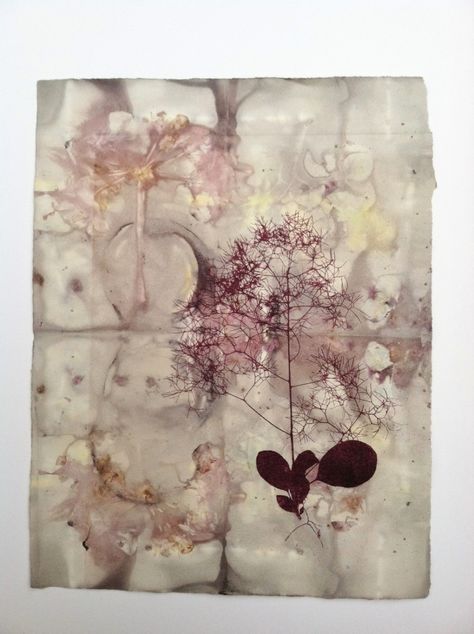 Contemporary Printmaking - "Pink Smoke Tree" (Original Art from Paula Zinsmeister) Collagraph Printmaking, Contemporary Printmaking, Botanical Theme, Art Theory, Flower Art Drawing, Phenomenal Woman, Collage Art Mixed Media, Eco Printing, Science Art