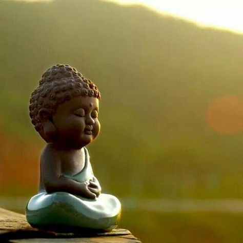 Enchanting ..... Small Buddha Statue, Image Zen, Vipassana Meditation, Baby Buddha, Buddha Garden, Art Buddha, Buddha Decor, Tiny Buddha, Little Buddha