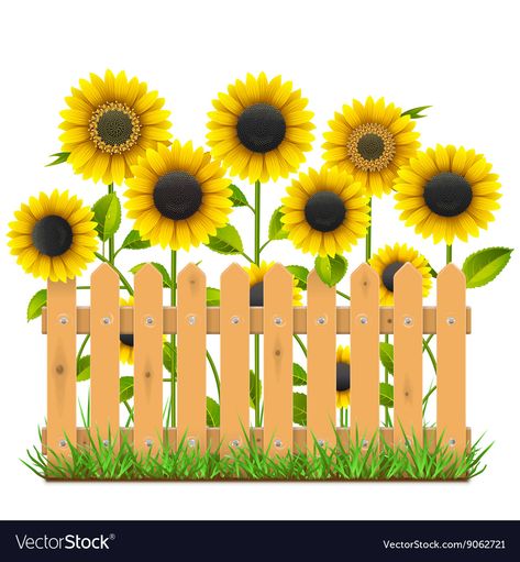 Wooden Fence with Sunflowers Royalty Free Vector Image Marsha And The Bear, Sunflower Clipart, School Wall Art, Kids Background, Image Svg, Floral Border Design, Wooden Fence, Flower Printable, Marianne Design