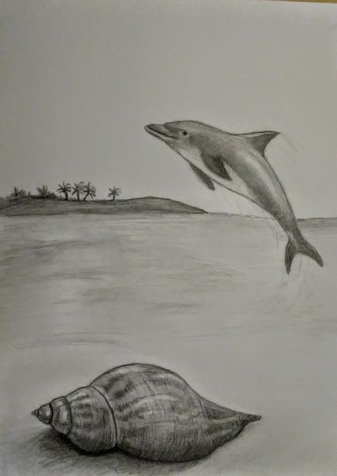 Drawing Ideas Dolphin, Dolphin Sketch Pencil, Dolphin Drawing Pencil, Sea Sketch Pencil, Ocean Drawing Pencil, Sea Drawing Pencil, Drawings Of Dolphins, Shell Drawing Pencil, Underwater Drawing Pencil