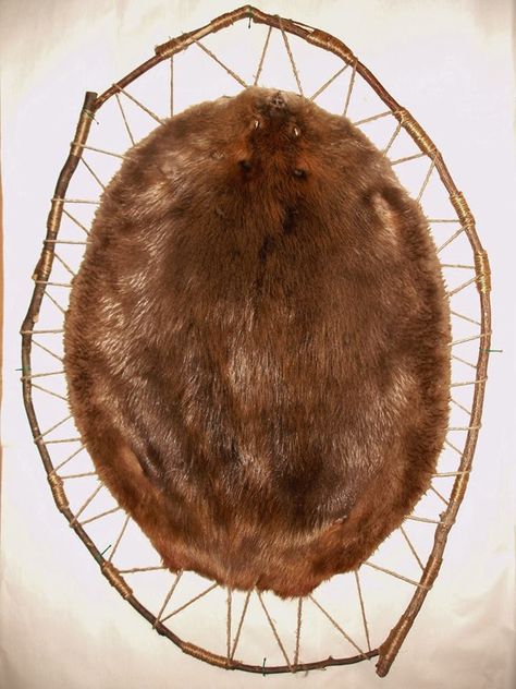 Beaver Hoop - This is our own beaver hide hooped (not meant to be perfectly circular) on ironwood branches with deer sinew. We trap our own beaver and tan most of our own furs. We will do these for you plain like this one or with glass or wooden beads to accent the colors in your home. Orc Warlock, Viking Furniture, Beaver Trapping, Fur Trapping, Hunting Mounts, Fur Projects, Beaver Pelt, Deer Mount Ideas, Animal Taxidermy