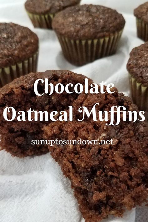 Low Cholesterol Muffins Healthy Recipes, Cocoa Oatmeal Muffins, Breakfast Chocolate Muffins, High Fiber Chocolate Muffins, High Fiber Chocolate Chip Muffins, Moist Oatmeal Muffins, Oats Muffin Recipe, Healthy Chocolate Muffin Recipes, Healthy Oatmeal Muffin Recipes